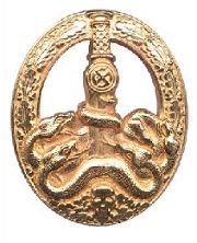 Army  badge